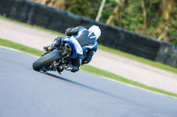 Oulton-Park-20th-March-2020;PJ-Motorsport-Photography-2020;anglesey;brands-hatch;cadwell-park;croft;donington-park;enduro-digital-images;event-digital-images;eventdigitalimages;mallory;no-limits;oulton-park;peter-wileman-photography;racing-digital-images;silverstone;snetterton;trackday-digital-images;trackday-photos;vmcc-banbury-run;welsh-2-day-enduro